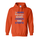 ST4L Sports Hooded Sweatshirt - GRR (Front only)