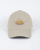 29d9e062392cfe77aeb0ceff0df93bf96ef4ae4e56588b0c69402c9c39d153fc